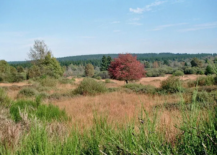 Bienenhaus